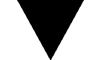Black Triangle Symbol