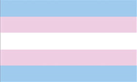 Transgender Pride